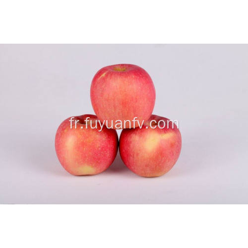 Pomme Qinguan fraîche de qualité supérieure